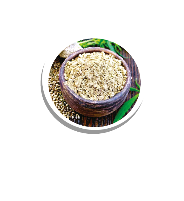 Da chi ragas pizzeria – Pizzeria Da Chi Ragas Parma
